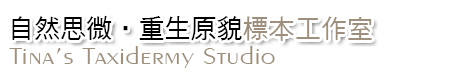 進入網站